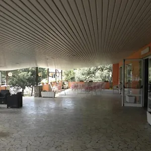 Hotel New Park, Lido di Camaiore